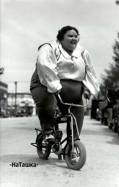 Леди Шелезяка )