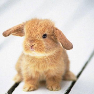 Настя Горшкова