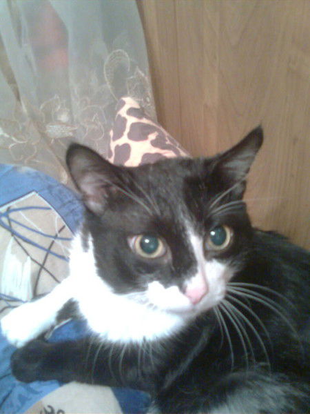 Светлана Грекова