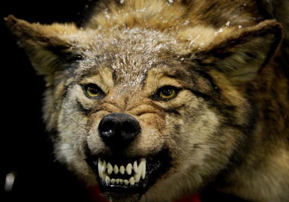 Сергей Serioga62