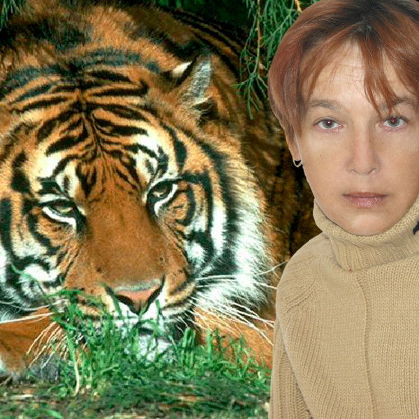 Марина Елгина