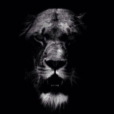 Миша Ковалжи