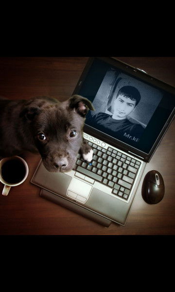 Jivu Greshu, Umru Otvechu