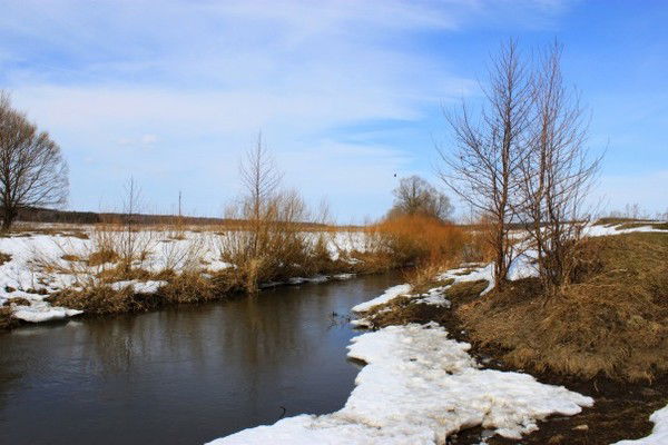 Нина Алексеевна Никишина