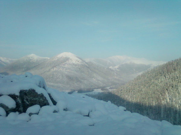 Дмитрий Горкунов