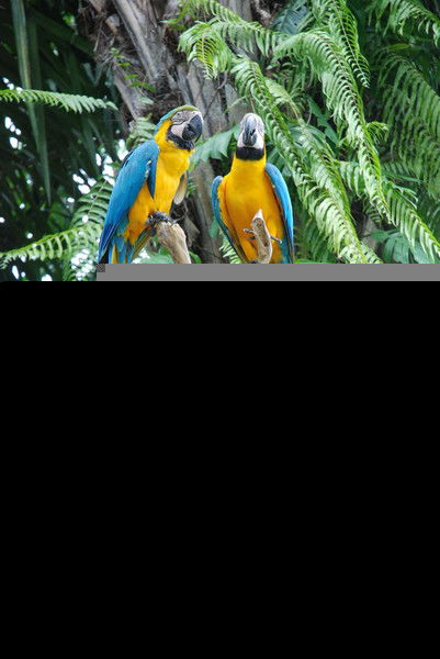 Бессонов Дмитрий