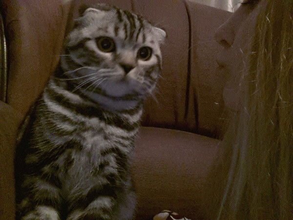 Дарья Бакунова