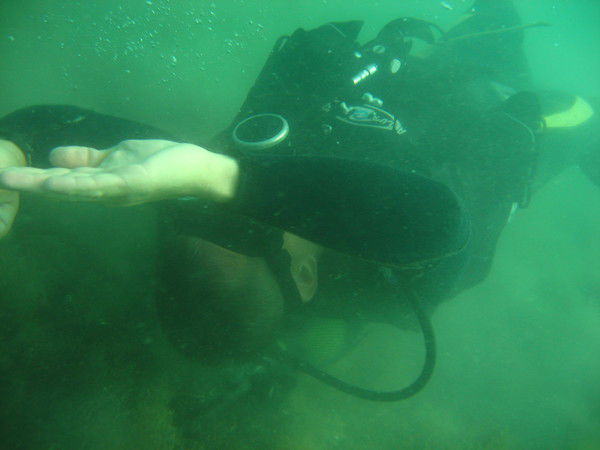 Станислав Лобачев