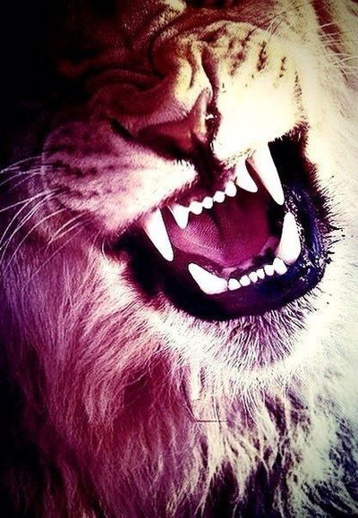 Саша Кобзев