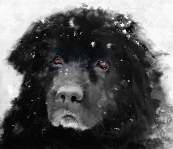 Секретарь Кальвадос-Пивнушка