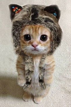 Денис Морозов