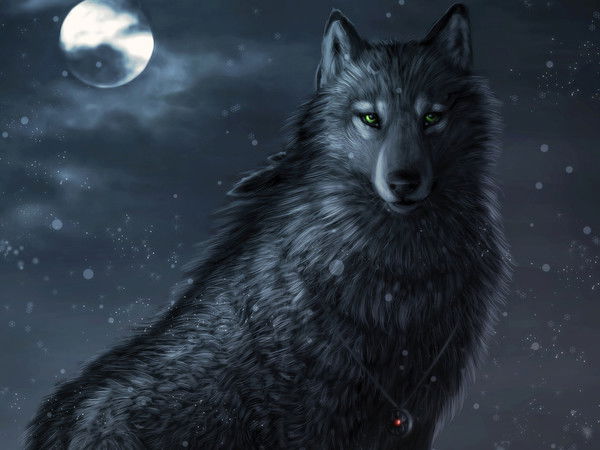 Марина Сажидова