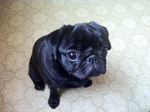 Татьяна Соколова