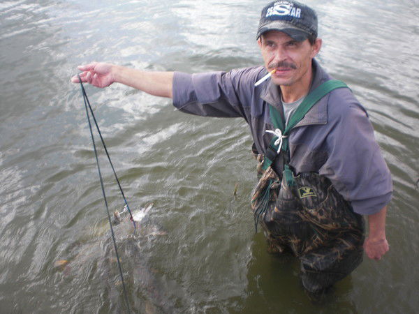 Андрей Вершинин