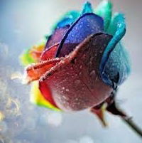 Патя Саламова