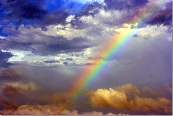 Светлана Crl