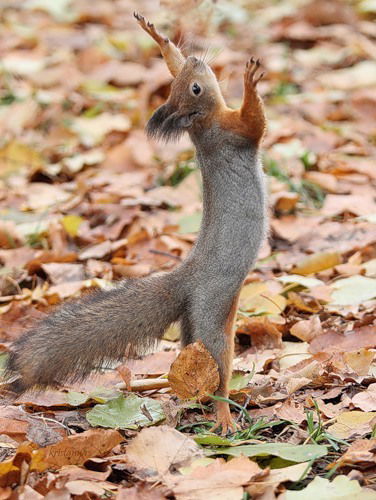 Лариса Кузнецова