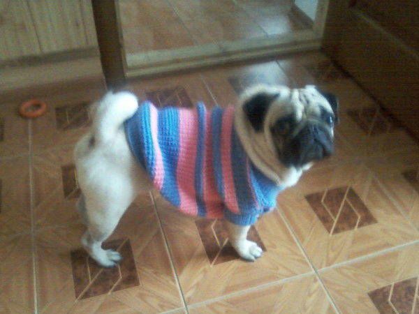 Люда Мастер