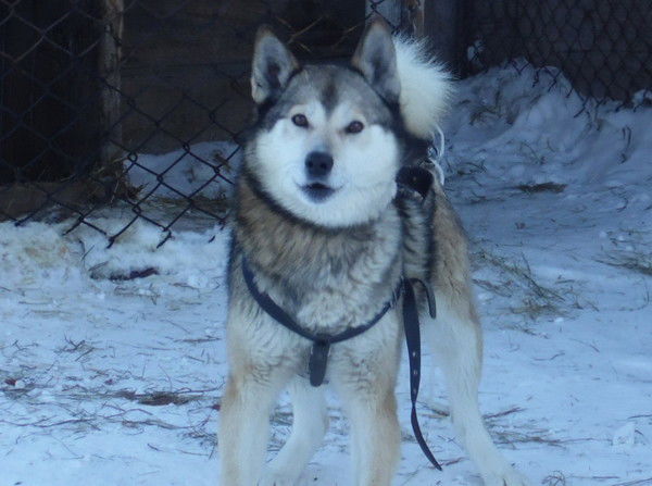 Анна Иванова