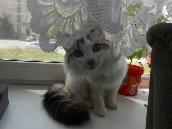 Геннадий Чистяков