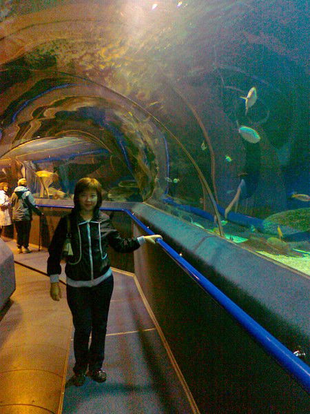 Жаныл Есенжанкызы