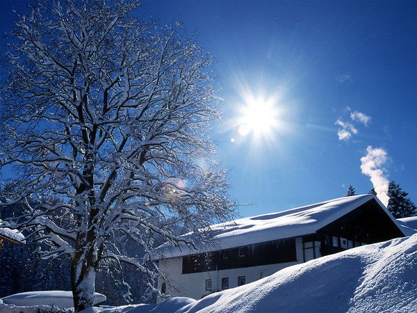 Алексей Васяев