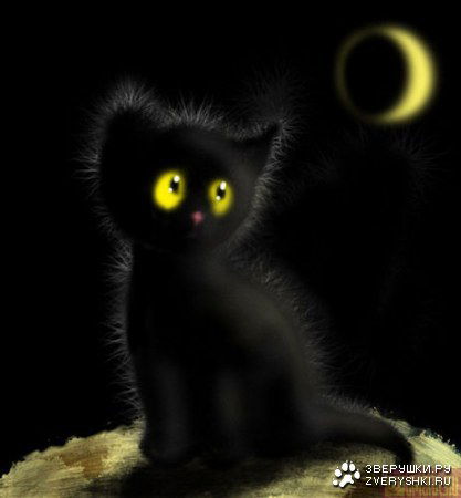 Лариса Василевская