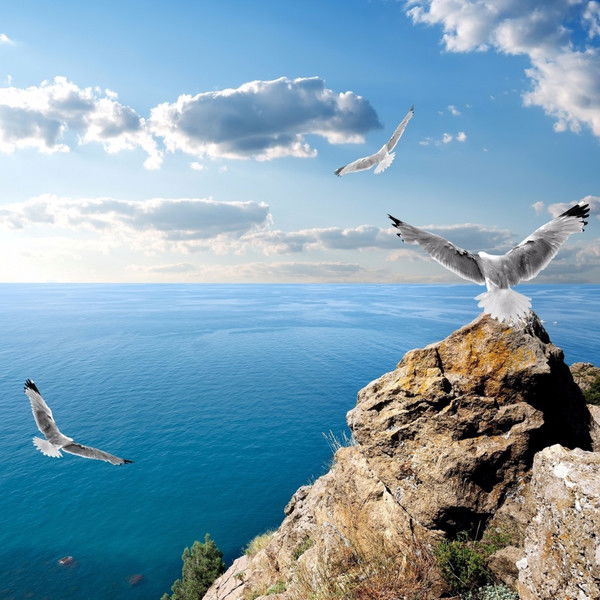 Ан Мечта Крым