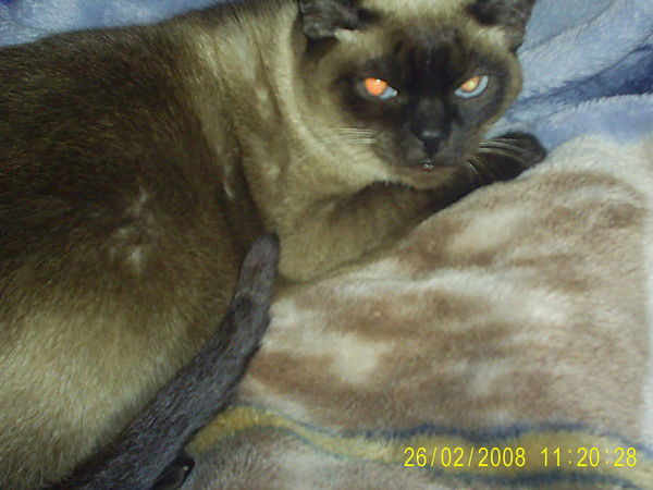 Жанна Хайрутдинова