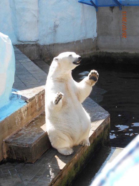 Вячеслав Прохоров