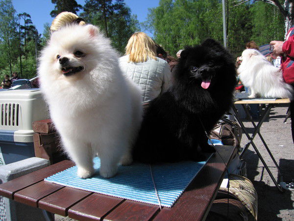 Татьяна Милая