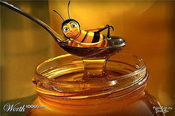 Алёна Темлина