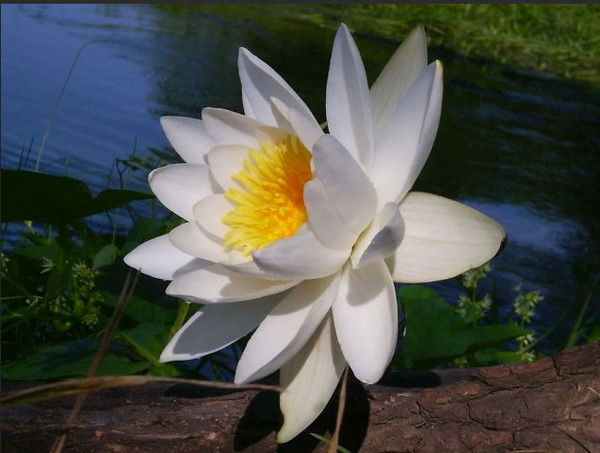 Инна Сакеева