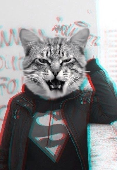 Владислав Ипатенко