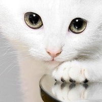 Екатерина Малахова