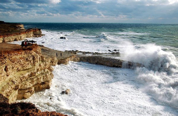Наталья Полякова