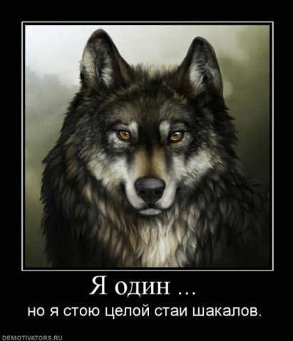 Волк Степной