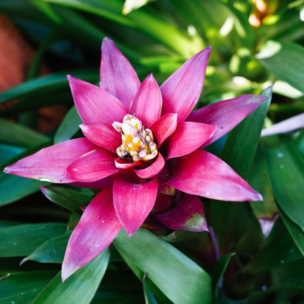 Динара Кайбалдиева