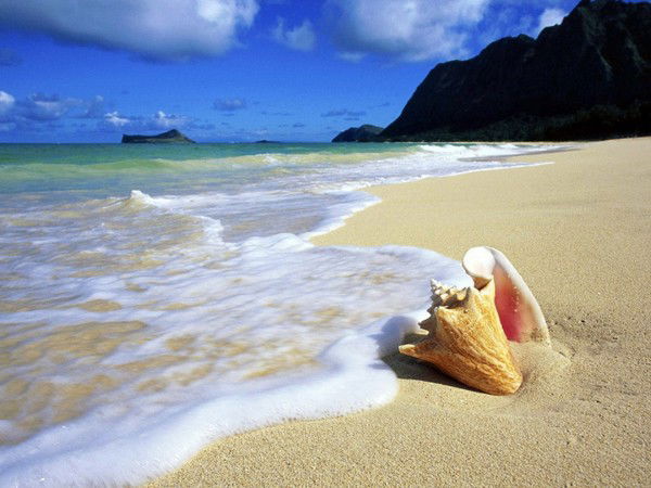 Вася Петров