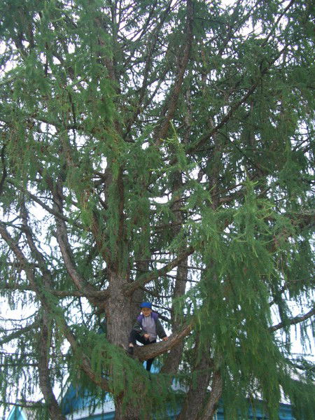 Григорий Соснин