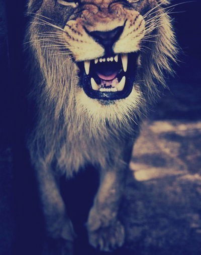 Дмитрий Трушков