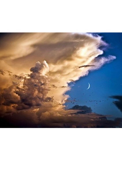 Александр Василенко