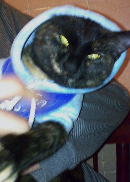 Ксюня Иванова