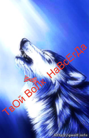 Vip Persona(= Vip Persona(=