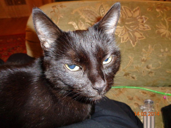 Игорь Бычков