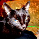 Игорь Бычков