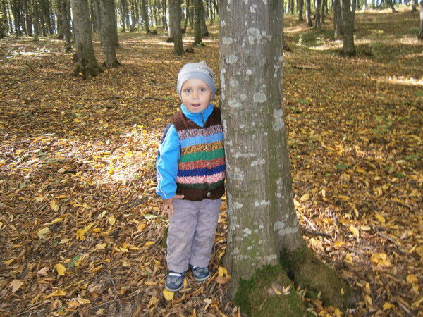 Анастасия Загородская