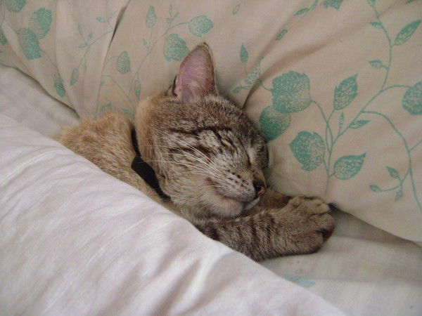 Татьяна Третьякова