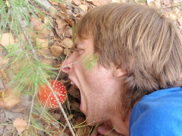 Сергей Гоменюк