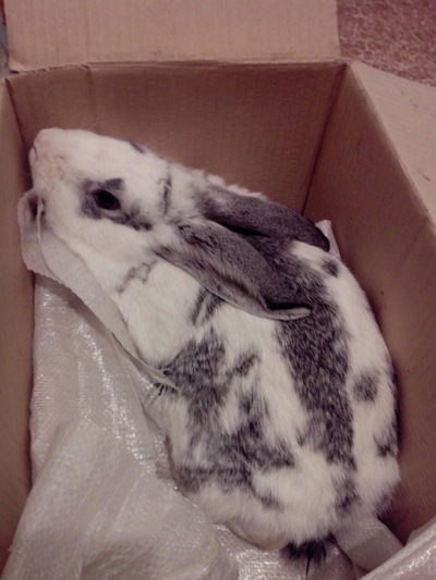 Сабина Сабирзянова